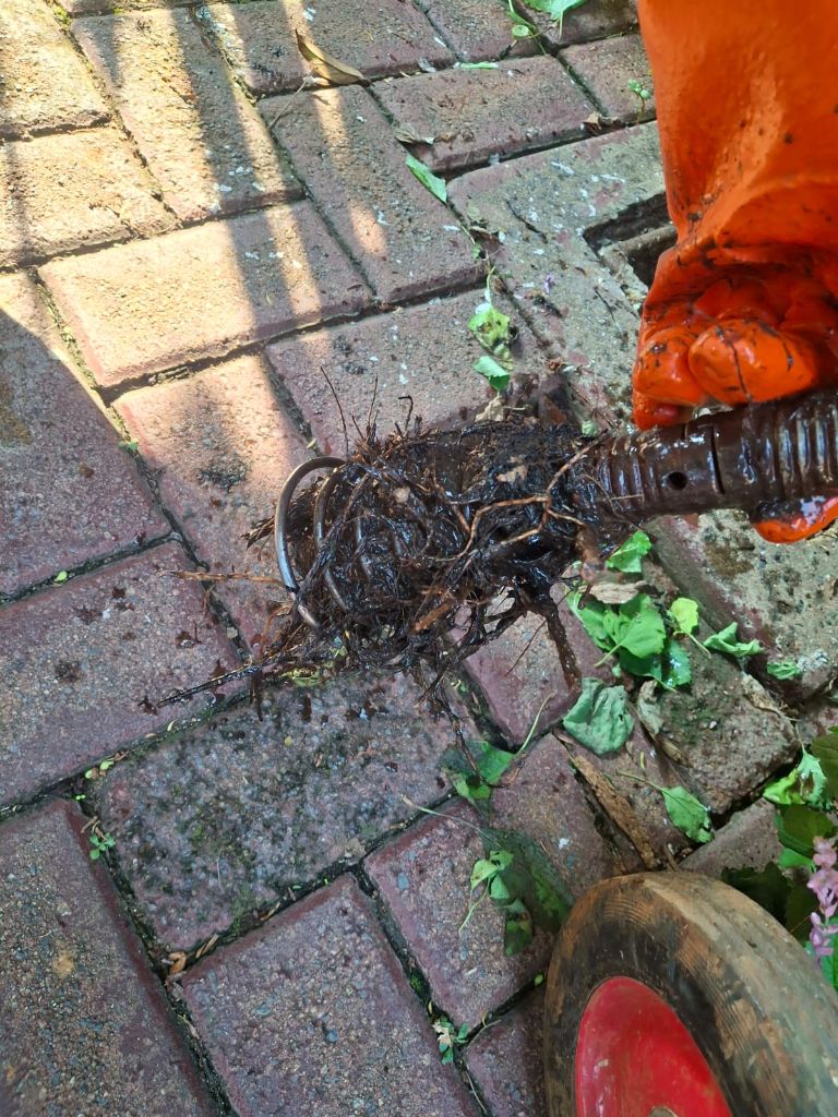 Drain unblocking job by Ironclad Plumbing